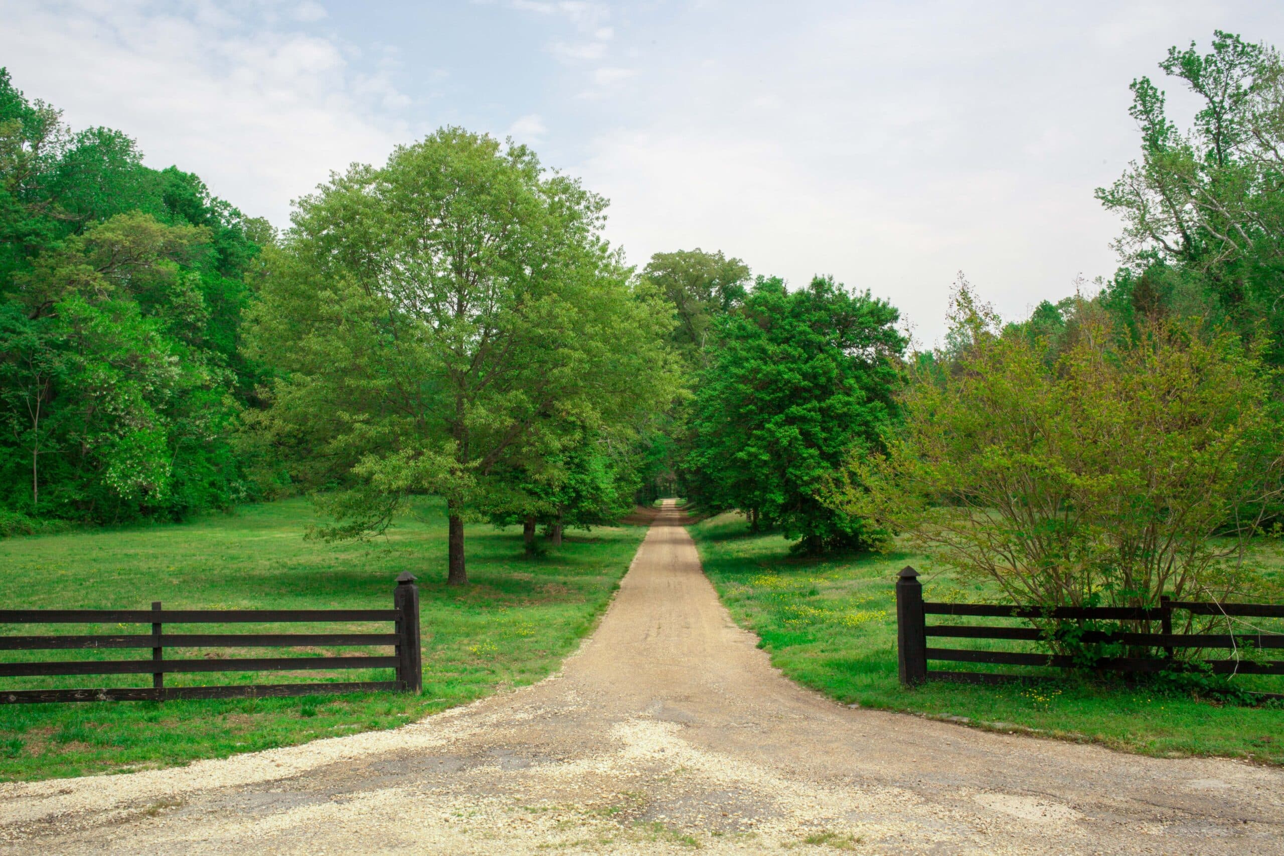 Driveway