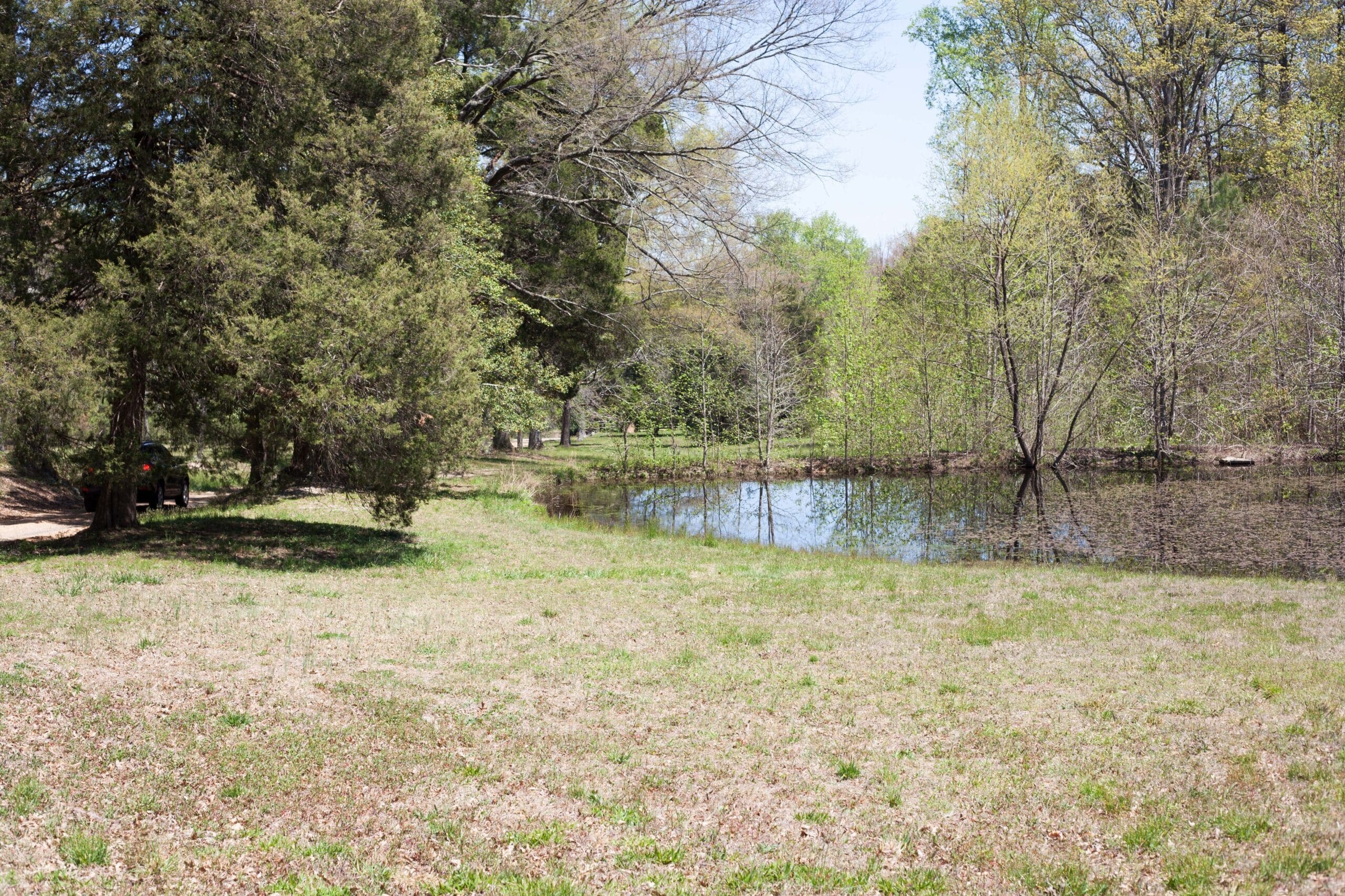 Fishing Pond
