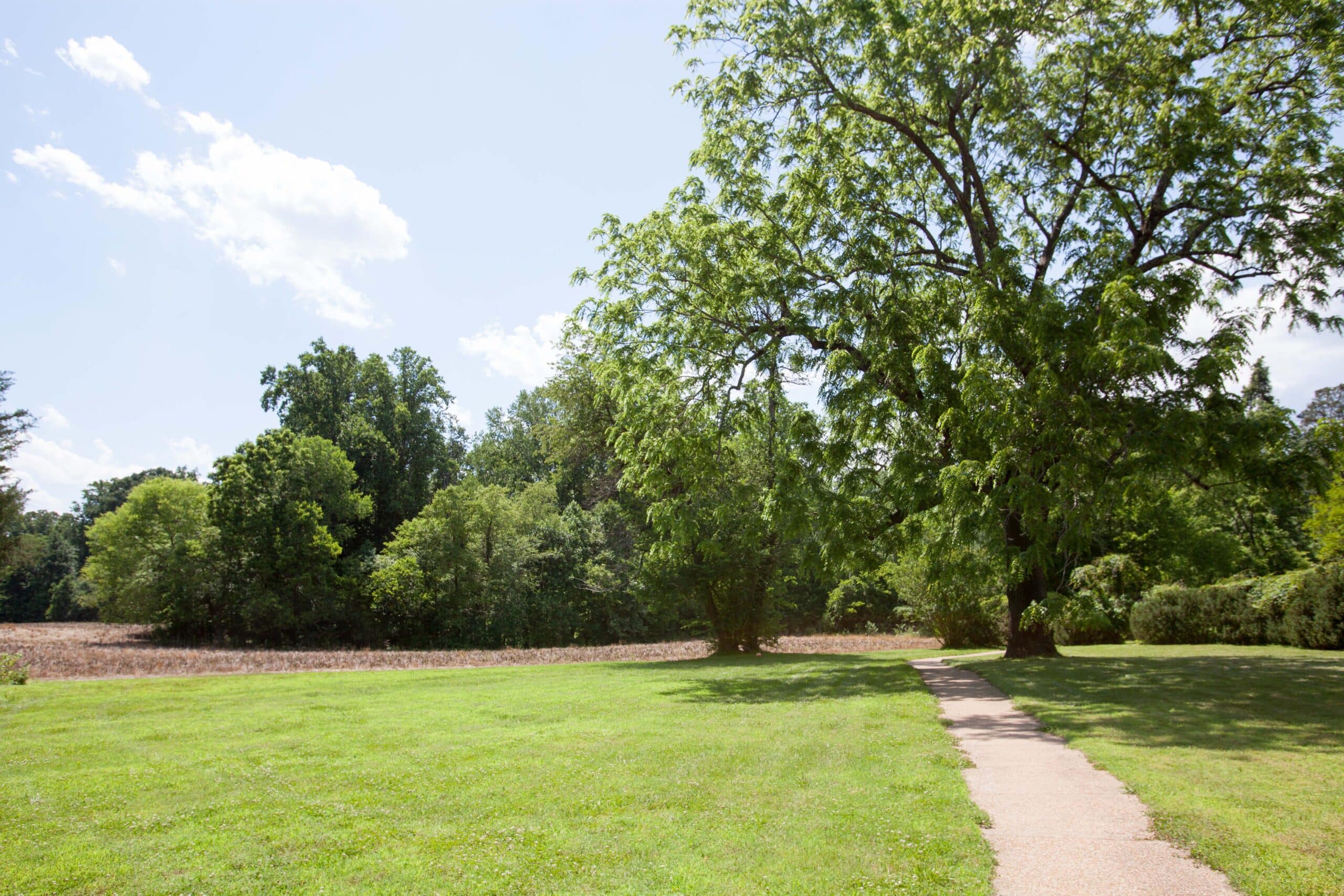 Walking Path
