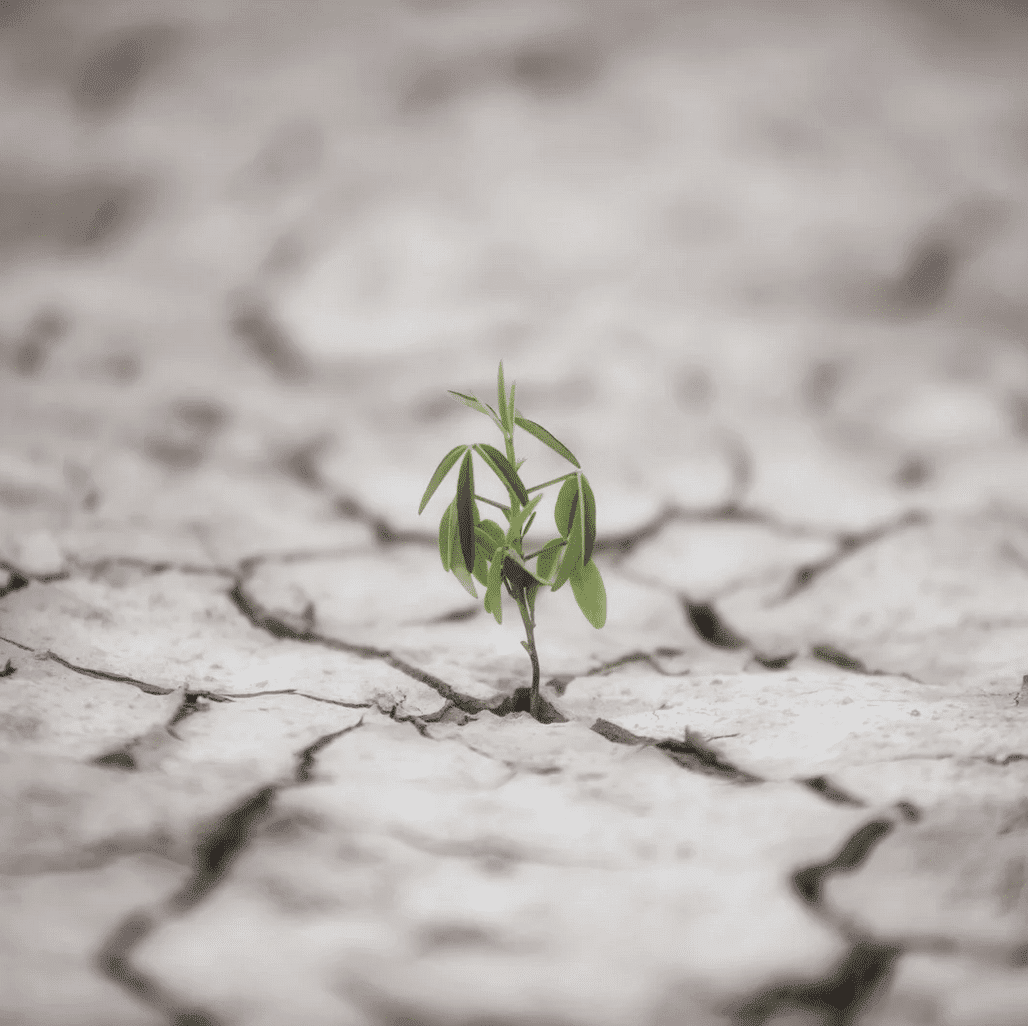 Coping Mechanisms for Addiction Recovery