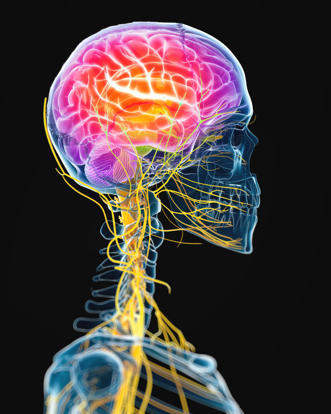 Understanding co-occurring disorders treatment